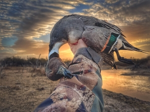 Waterfowl Hunting