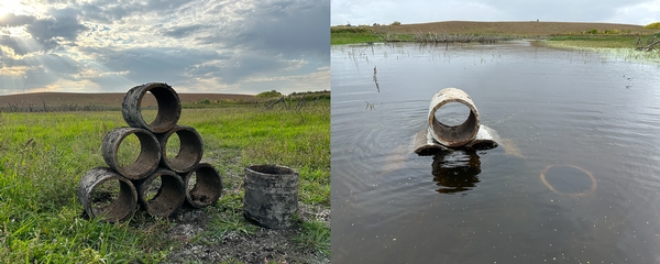 Rainy fall weather brings dramatic results to Minnesota wetland restoration project