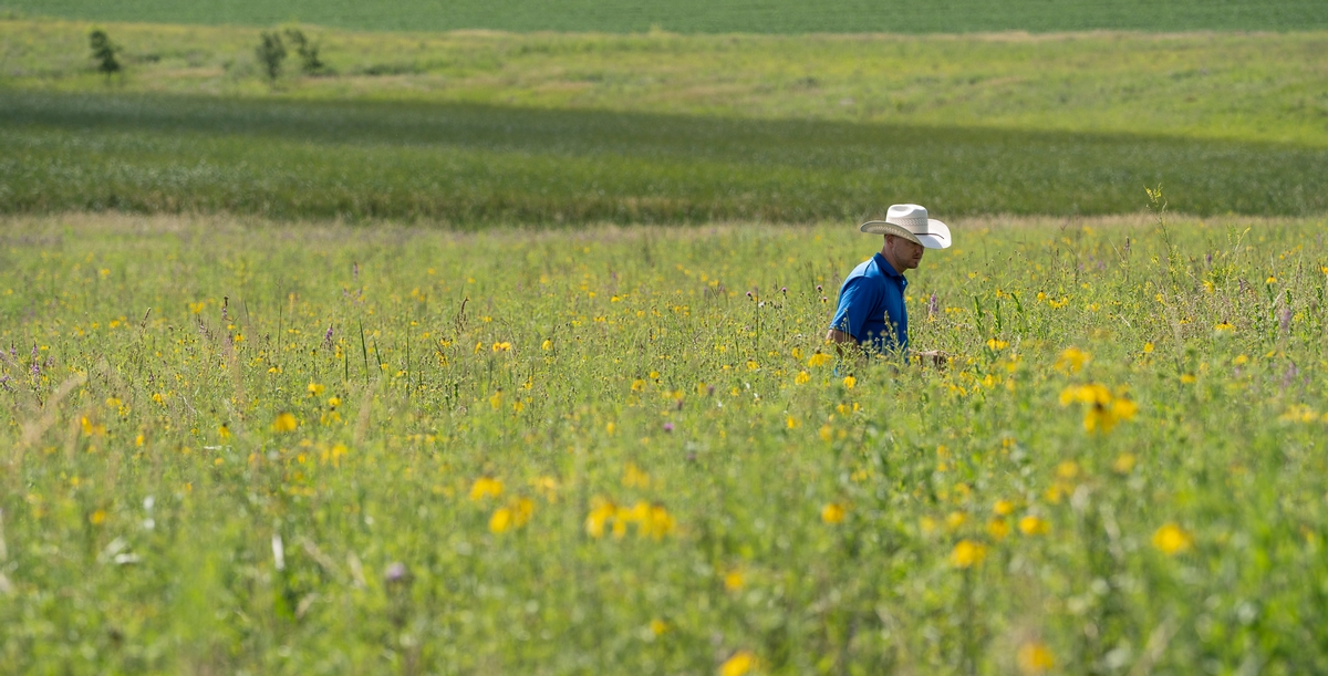 Prescribed grazing program sees success in Minnesota 