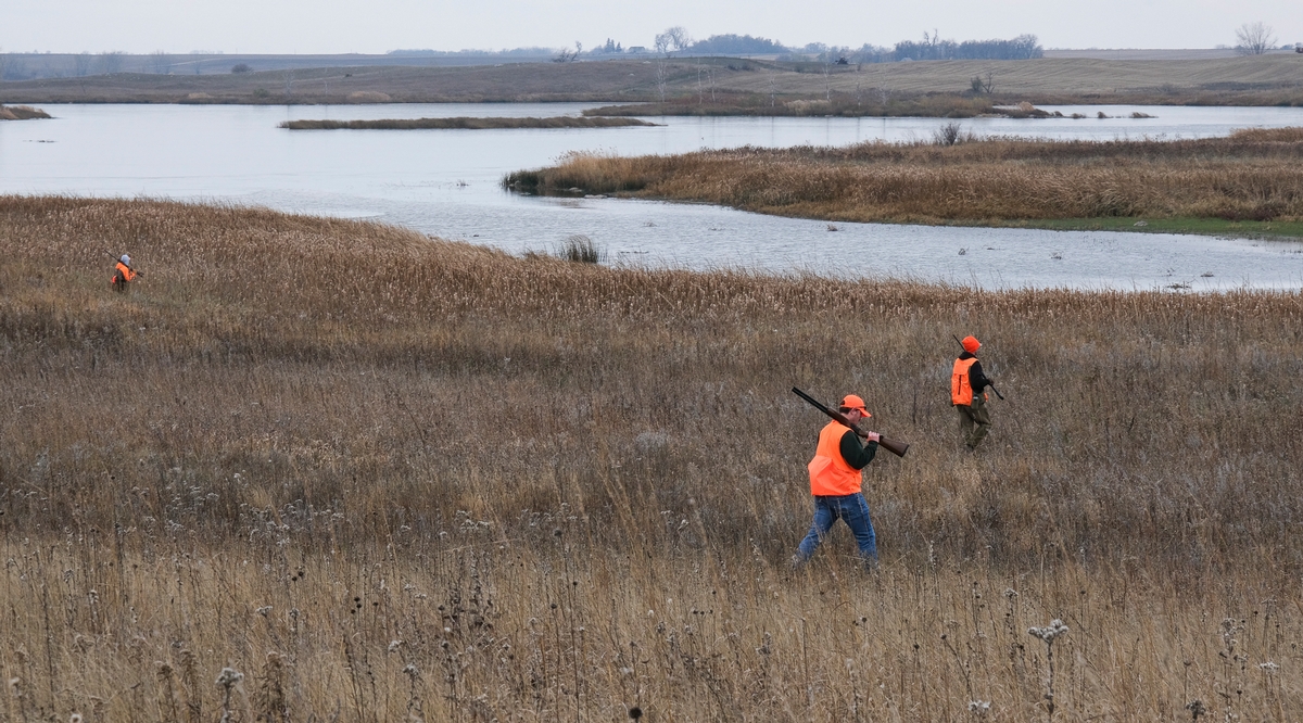 Photo caption: Upland hunters enjoy a day afield at the Prairie Marshes Wildlife Management Area southwest of Marshall, Minn. The area was expanded by a Pheasants Forever acquisition of 177 acres four years ago, and by another recent expansion of 40 acres Recent Pheasants Forever acquisitions add 268 acres of upland habitat to Minnesota’s public lands
