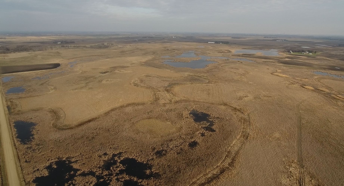 Four acquisitions add more than 420 acres of public land to the prairie landscape in Minnesota 