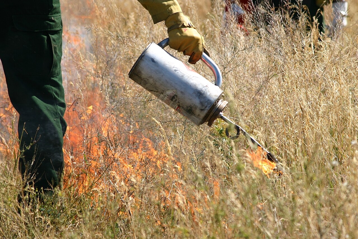 Fire in Minnesota