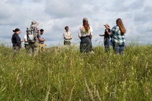 Conservation%20grazing%2014.JPG