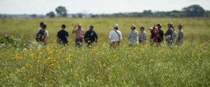 Conservation%20grazing%2017.JPG