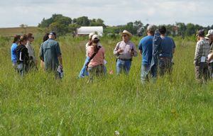 Conservation%20grazing%206.JPG