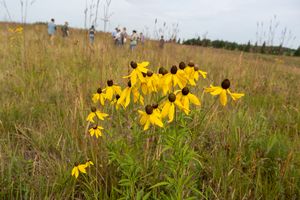 Kandiyohi%20field%20day%2011.JPG