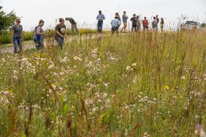 Kandiyohi%20field%20day%2015.JPG