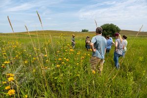 Kandiyohi%20field%20day%202.JPG