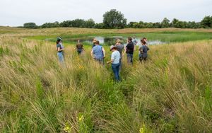 Kandiyohi%20field%20day%205.JPG