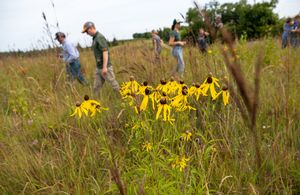 Kandiyohi%20field%20day%207.JPG