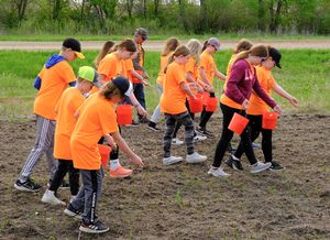 Meeker County pollinator planting