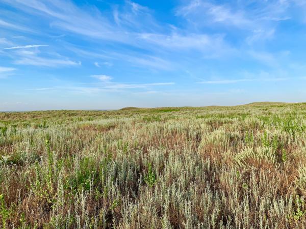 Conservation Reserve Program General Sign Up