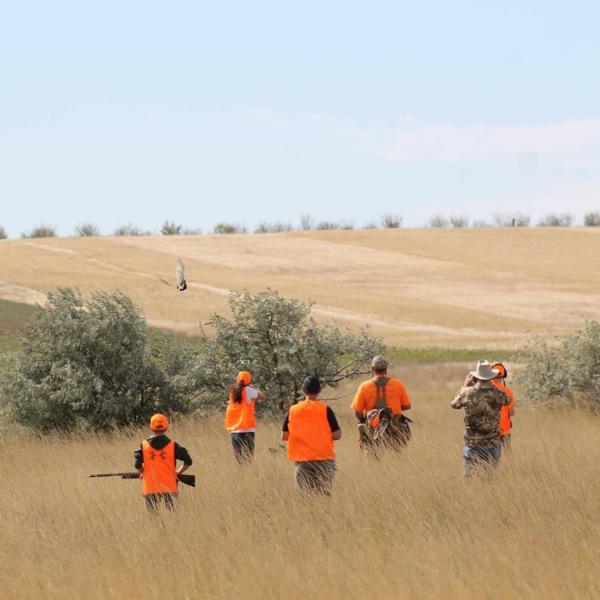 Tongue River Ranch