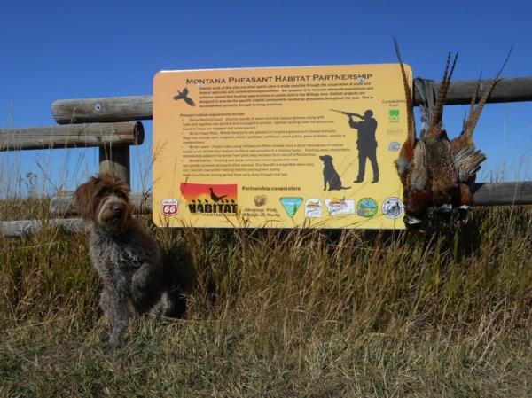 South-Central Montana Habitat Specialist