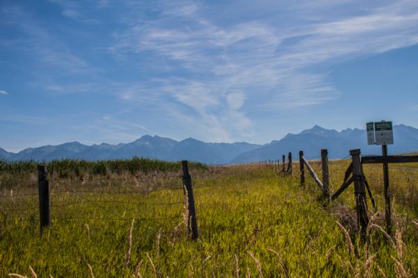 Richardson Property - Mission Valley