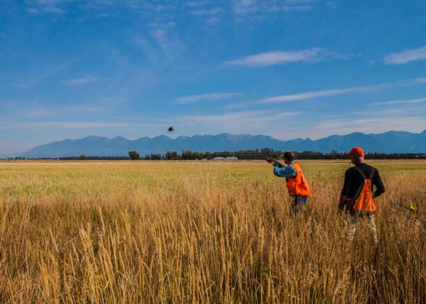 Welcome To Montana Pheasants Forever