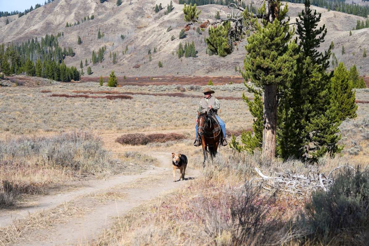 Chuck Keiser, DVM  Partner & Wrangler