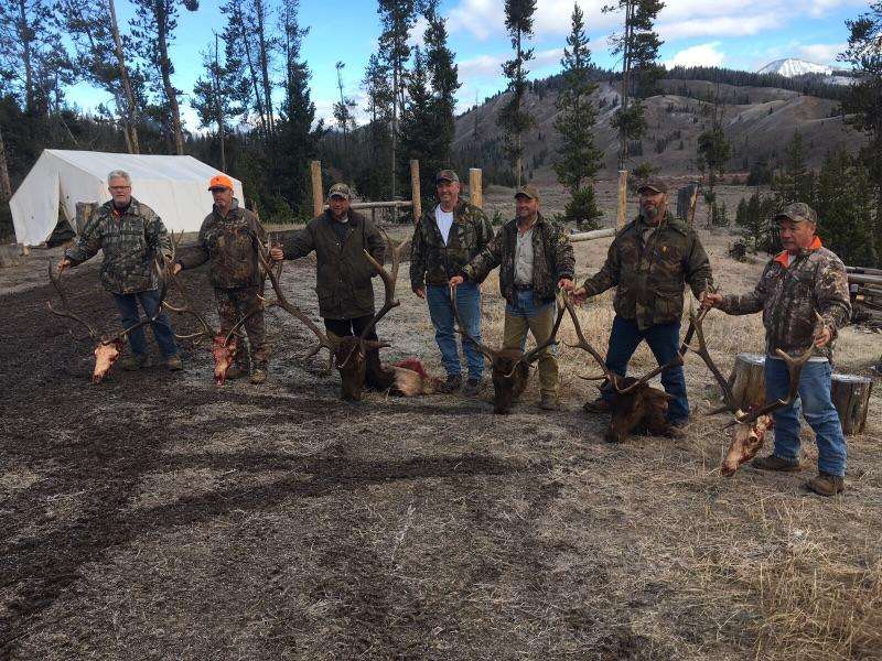 Elk Hunting