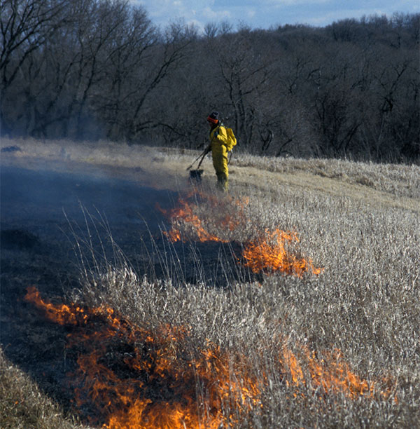 Preserving Our Natural Resources