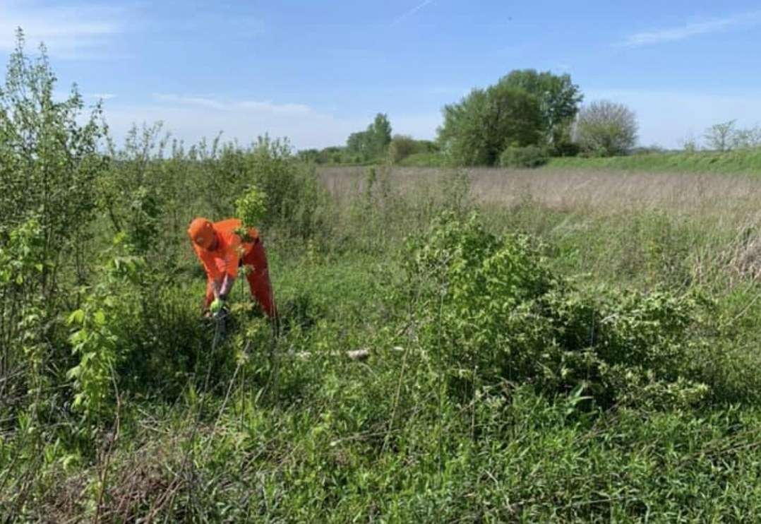 2022 Habitat Clean-Up Day