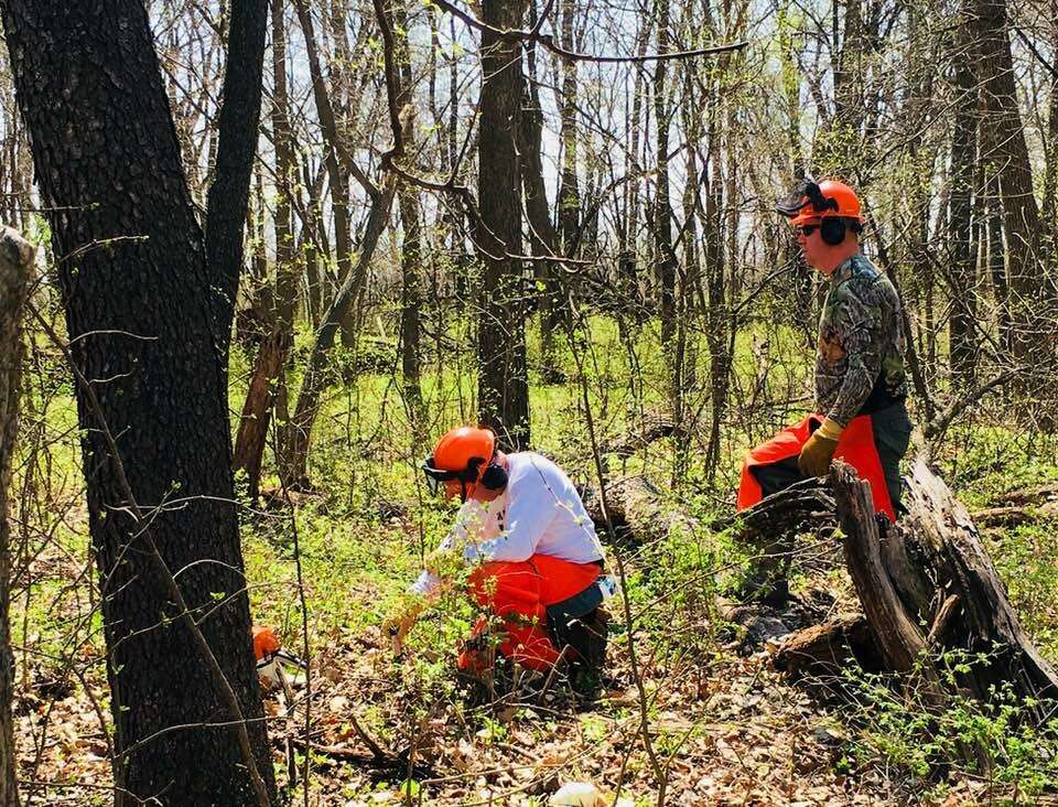 Local Habitat Efforts