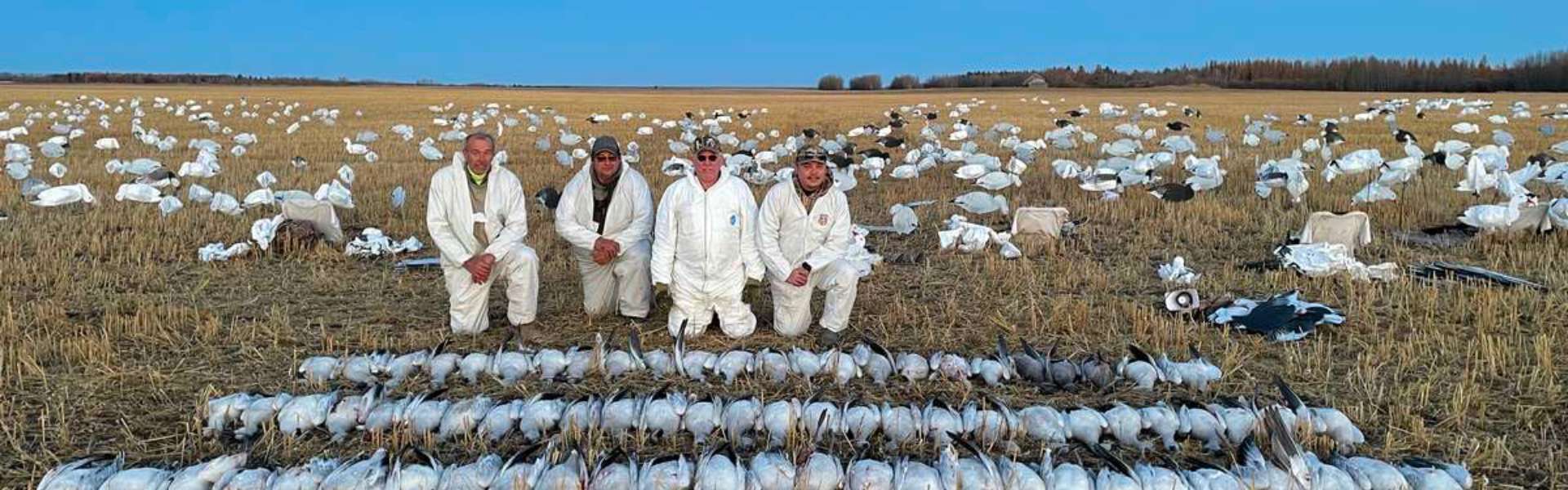 Alberta Spring Snow Goose Hunts