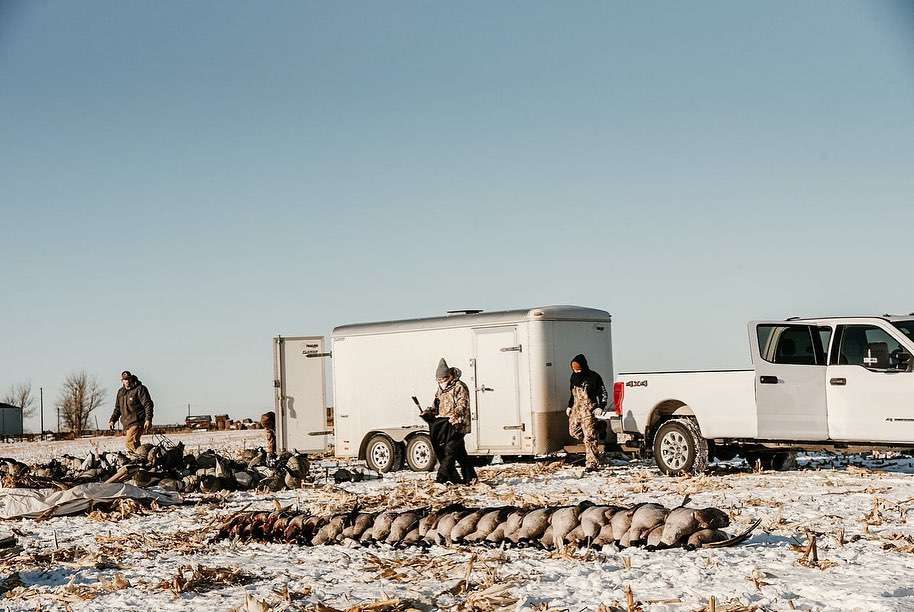 Waterfowl Outfitter in Alberta Canada