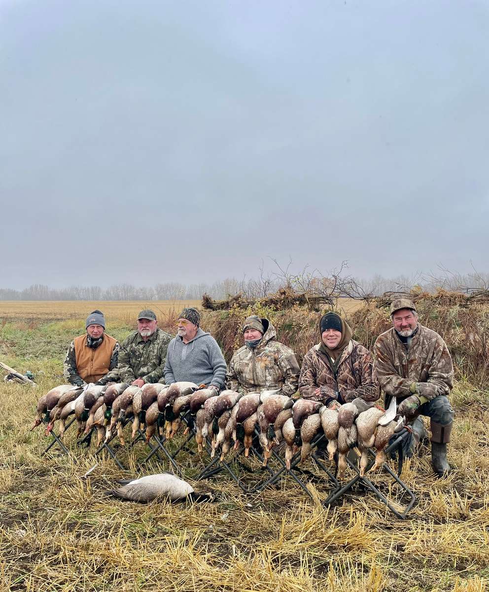 Alberta Duck Hunts