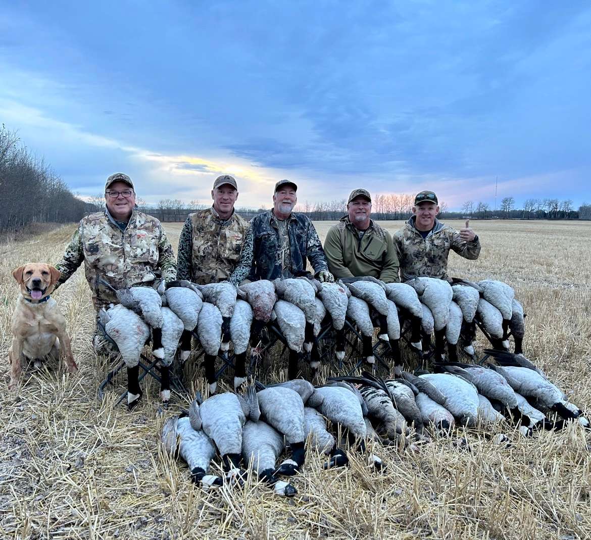 Guided Goose Hunting In Alberta Canada Canada Goose Hunts