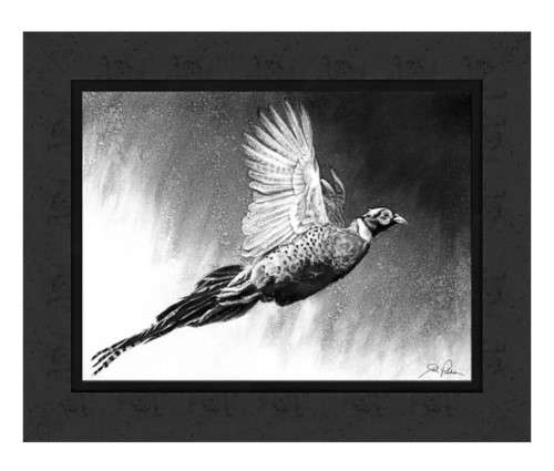 Print & Frame Print of the Year - Pheasant Charcoal by Joel Pilcher