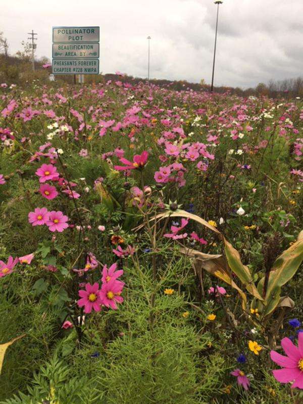 Route 8 Pollinator Project