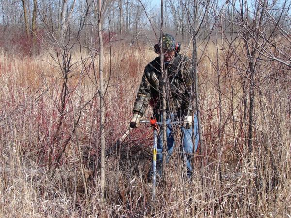 Habitat Work Day & Pheasant Hunt