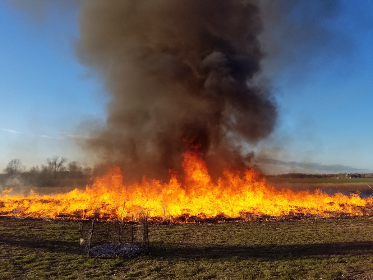 Prescribed Burn Services