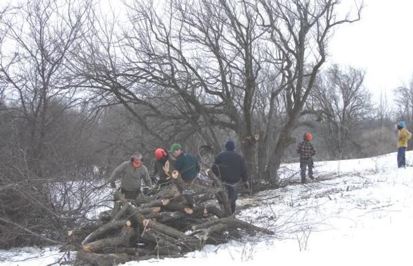 Habitat Work Day & Pheasant Hunt