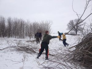 Habitat Work Day