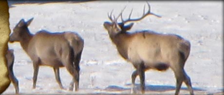 slider-1.jpg slider-1.jpg