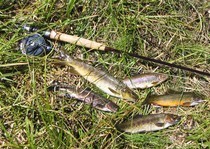 Fishing
