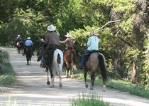 Horseback