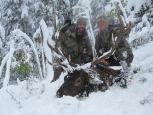 Elk Hunts