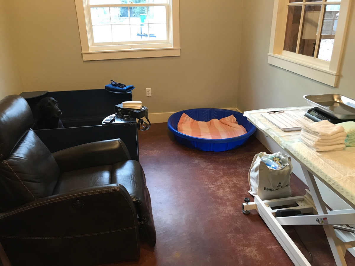 Whelping Room Whelping Room