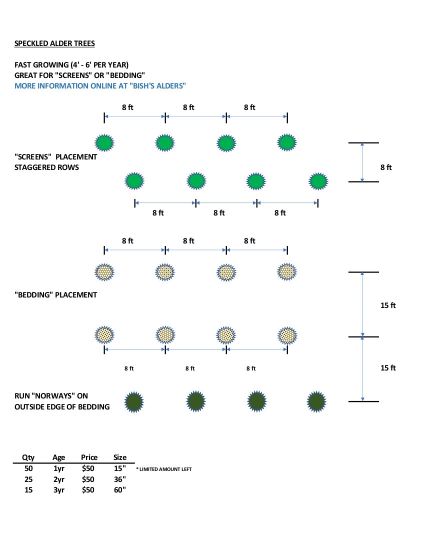 2019 Trees and Nesting Grass