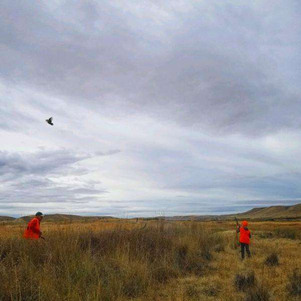 Washington's Next Pheasant Hunters