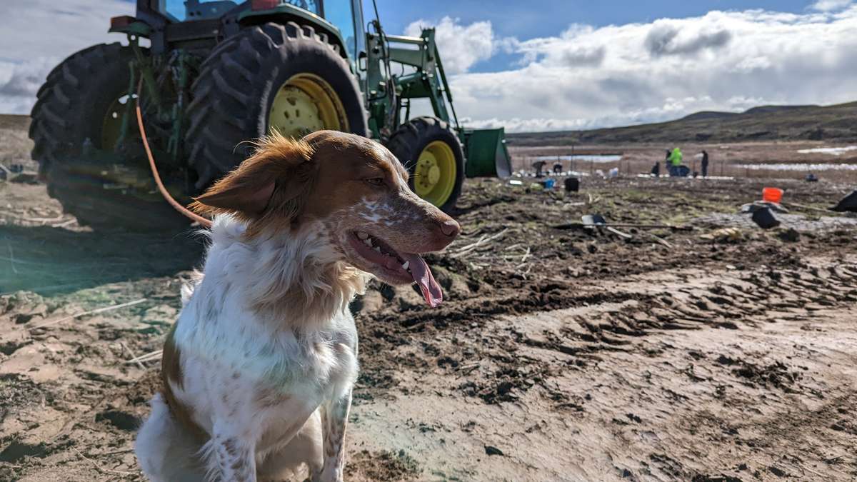 Local Habitat Efforts