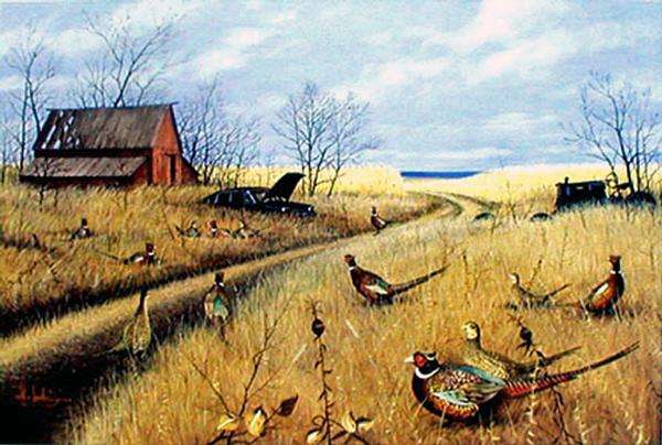 Who is Pheasants Forever?