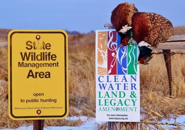 PHEASANTS FOREVER EXPLORES THE MINNESOTA PICTURE