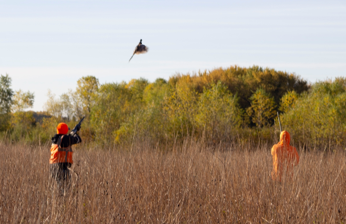 Welcome To Mower County Habitat & Pheasants Forever