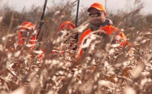 Field%20Shot%20-%2010%20Group%20Jamie%20n%20corn.JPG