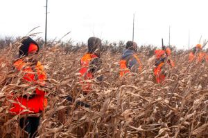 Field%20Shot%20-%209%20Group%20Mike%20n%20corn.JPG