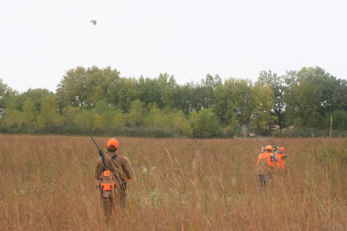 Group%201%20Field%202%20shoot.jpg