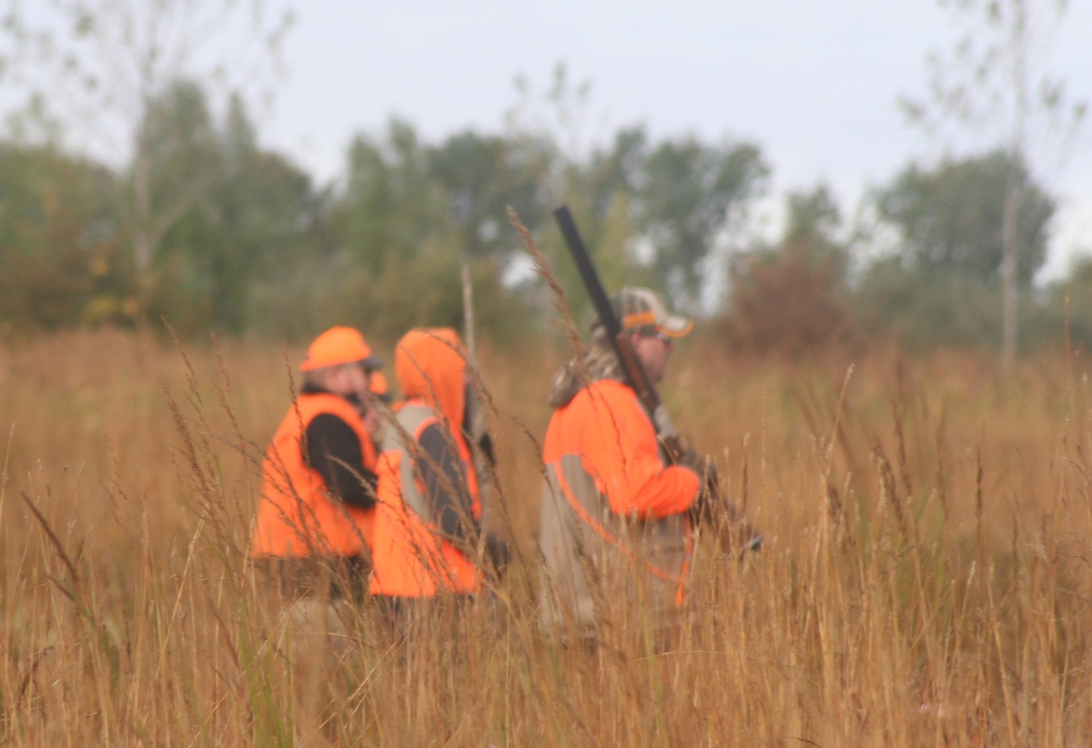 Group%201%20Field%205.jpg